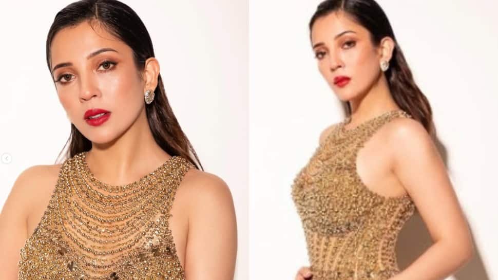 Barkha Singh’s Dream Role Has Alia Bhatt Connection – Find Out What It Is | People News